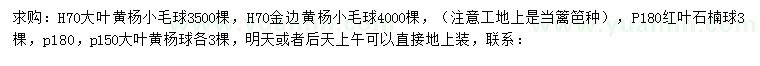 求购大叶黄杨小毛球、金边黄杨小毛球、红叶石楠球等