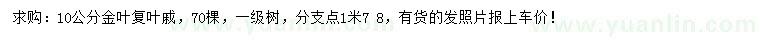 求购10公分金叶复叶槭