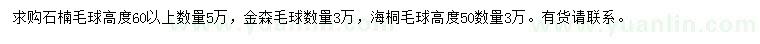 求购石楠毛球、金森毛球、海桐毛球