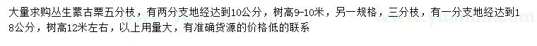 求购高9-10、12米左右丛生蒙古栎