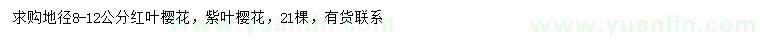 求购地径8-12公分红叶樱花、紫叶樱花