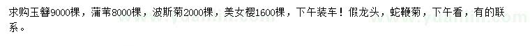 求购玉簪、蒲苇、波斯菊等