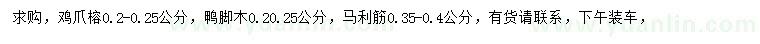 求购鸡爪榕、鸭脚木、马利筋