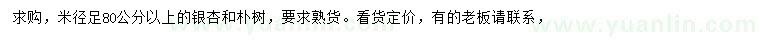 求购米径80公分以上银杏、朴树