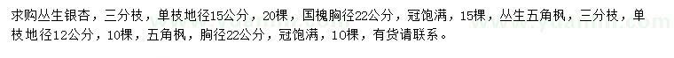 求购丛生银杏、国槐、丛生五角枫等