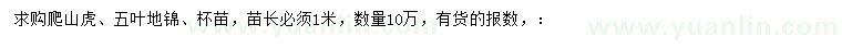 求购1米爬山虎、五叶地锦