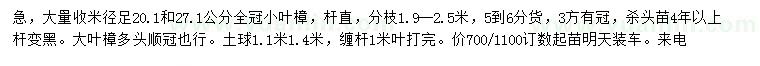 求购米径27.1、20.1公分小叶樟、大叶樟