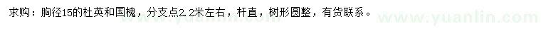 求购胸径15公分杜英、国槐