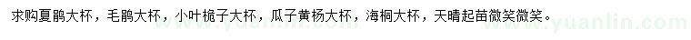 求购夏鹃、毛鹃、小叶桅子等