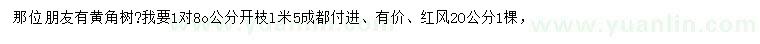 求购80公分黄角树、20公分红枫