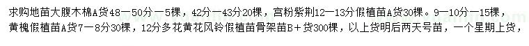 求购木棉、宫粉紫荆、黄槐等