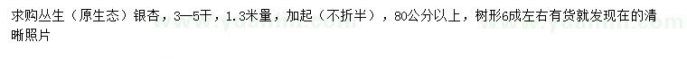 求购1.3米量80公分以上丛生银杏