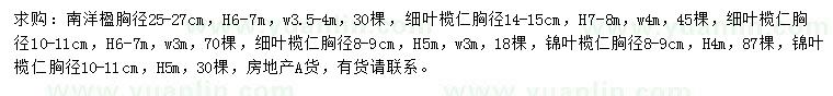 求购南洋楹、细叶榄仁、锦叶榄仁