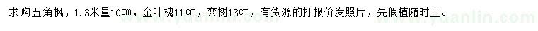 求购五角枫、金叶槐、栾树