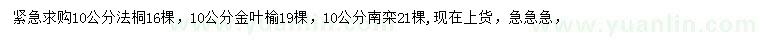 求购法桐、金叶榆、南栾