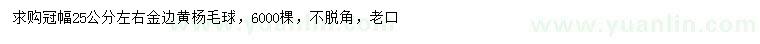 求购冠幅25公分左右金边黄杨毛球