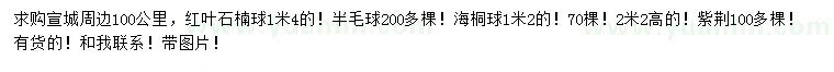 求购红叶石楠球、海桐球、紫荆