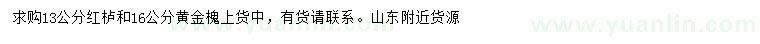 求购13公分红栌、16公分黄金槐