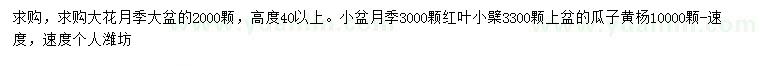 求购大花月季、红叶小檗、瓜子黄杨