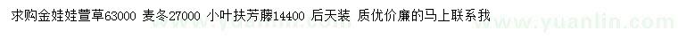 求购金娃娃萱草、麦冬、小叶扶芳藤