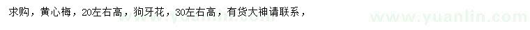 求购高20公分左右黄心梅、高30公分左右狗牙花