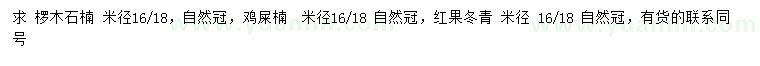 求购椤木石楠、鸡屎楠、红果冬青