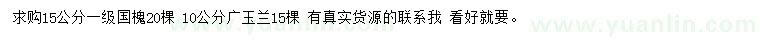 求购15公分国槐、10公分广玉兰