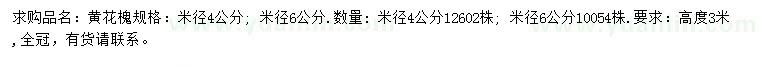 求购米径4、6公分黄花槐