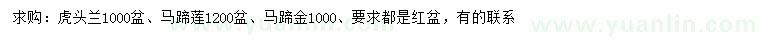 求购虎头兰、马蹄莲、马蹄金