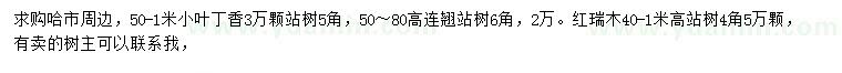 求购小叶丁香、连翘、红瑞木