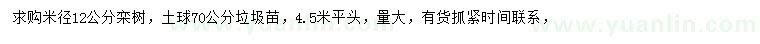 求购米径12公分栾树