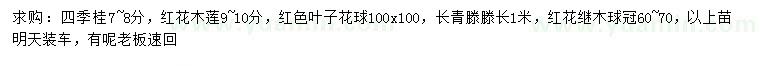 求购四季桂、红花木莲、红色叶子花球等