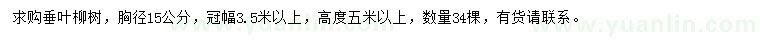 求购胸径15公分垂叶柳树