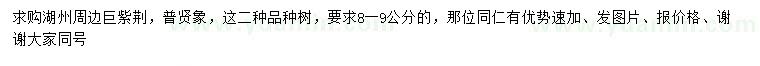 求购8-9公分巨紫荆、普贤象