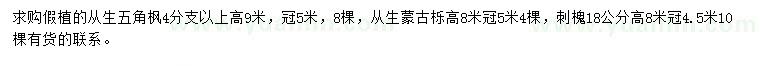 求购从生五角枫、从生蒙古栎、刺槐