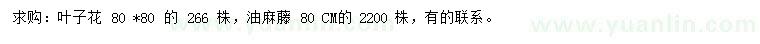 求购叶子花、油麻藤