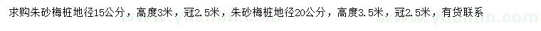 求购地径15、20公分朱砂梅桩