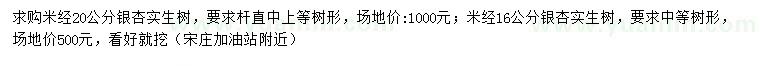 求购米径16、20公分银杏