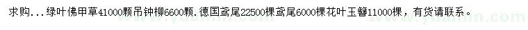 求购绿叶佛甲草、吊钟柳、德国鸢尾等