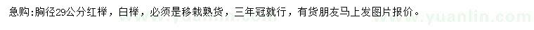 求购胸径29公分红榉、白榉