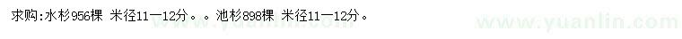 求购米径11-12公分水杉、池杉