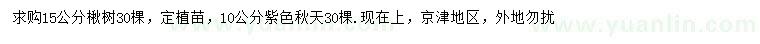 求购15公分楸树、10公分紫色秋天