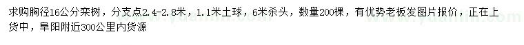 求购胸径16公分栾树