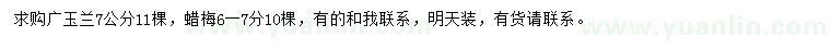 求购7公分广玉兰、6-7公分蜡梅