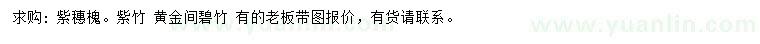 求购紫穗槐、紫竹、黄金间碧竹