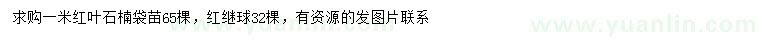 求购1米红叶石楠、红花继木球