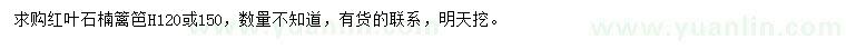 求购高120、150公分红叶石楠