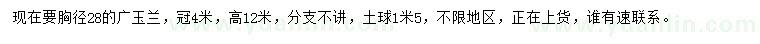 求购胸径28公分广玉兰