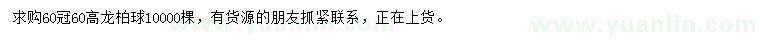 求购冠幅60公分龙柏球