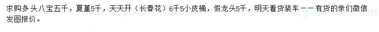 求购多头八宝、夏堇、天天开等